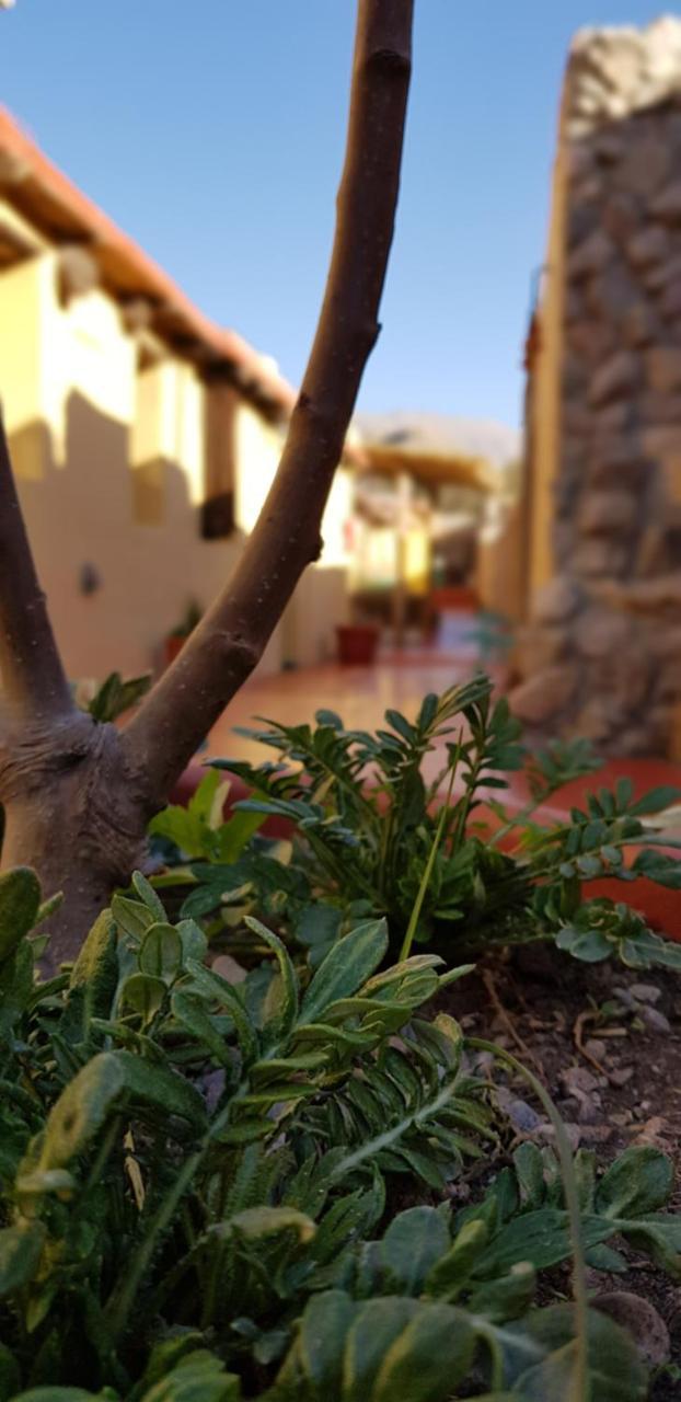 Hostal Asqui Pacha Tilcara Bagian luar foto